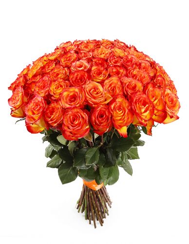 101 оранжевая роза с доставкой в Евпаторию